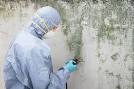 Mold Odor Removal Services in Boothwyn, PA